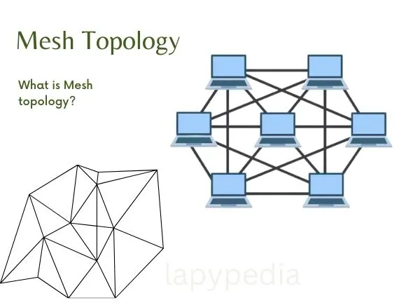 Mesh topology