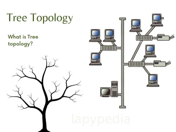 Tree topology